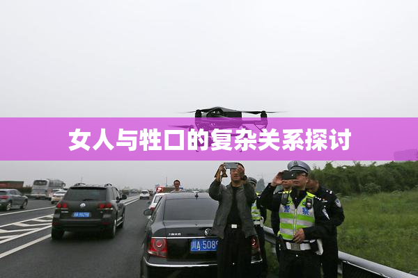 女人与牲口的复杂关系探讨