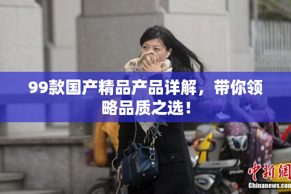 99款国产精品产品详解，带你领略品质之选！