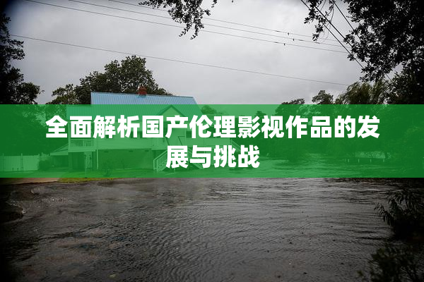 全面解析国产伦理影视作品的发展与挑战