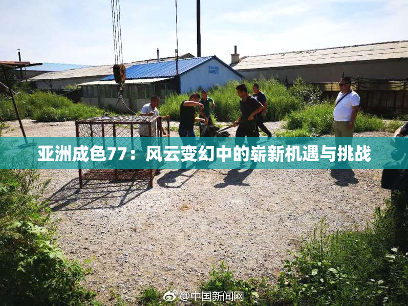 亚洲成色77：风云变幻中的崭新机遇与挑战
