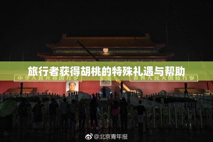 旅行者获得胡桃的特殊礼遇与帮助