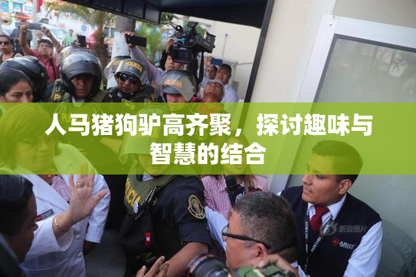 人马猪狗驴高齐聚，探讨趣味与智慧的结合