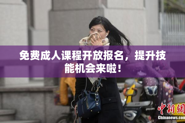 免费成人课程开放报名，提升技能机会来啦！