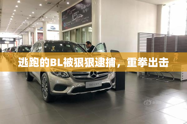 逃跑的BL被狠狠逮捕，重拳出击