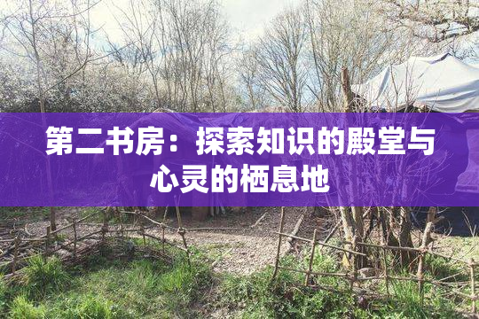 第二书房：探索知识的殿堂与心灵的栖息地