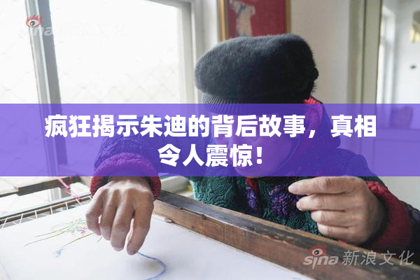 疯狂揭示朱迪的背后故事，真相令人震惊！