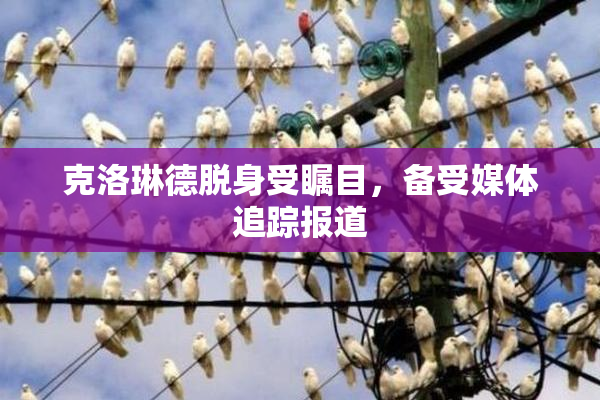 克洛琳德脱身受瞩目，备受媒体追踪报道