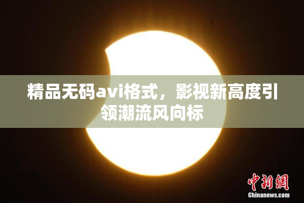 精品无码avi格式，影视新高度引领潮流风向标