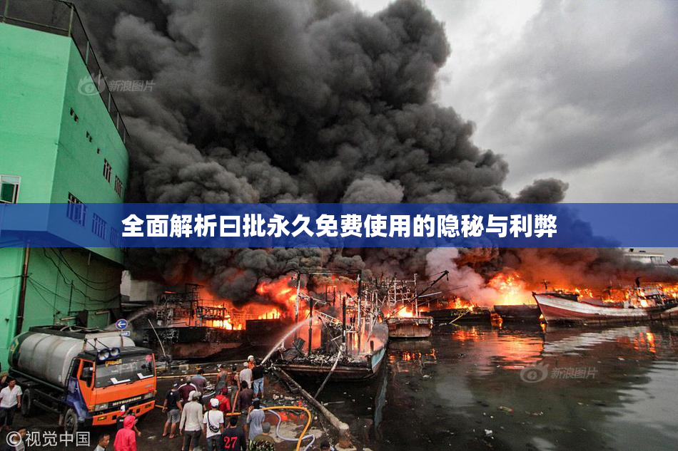 全面解析曰批永久免费使用的隐秘与利弊