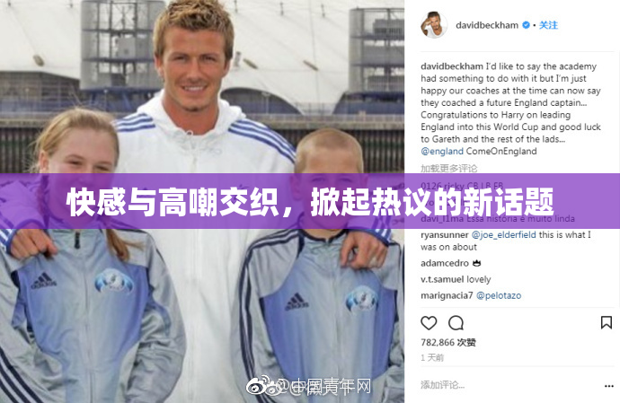 快感与高嘲交织，掀起热议的新话题