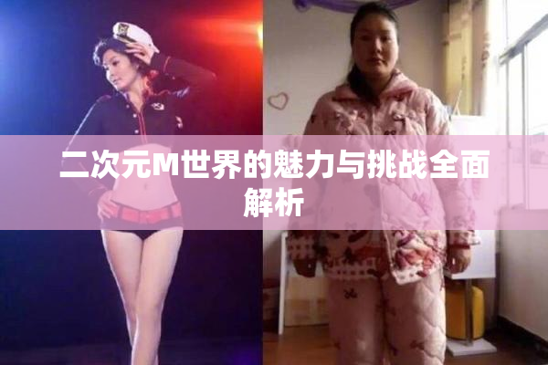 二次元M世界的魅力与挑战全面解析