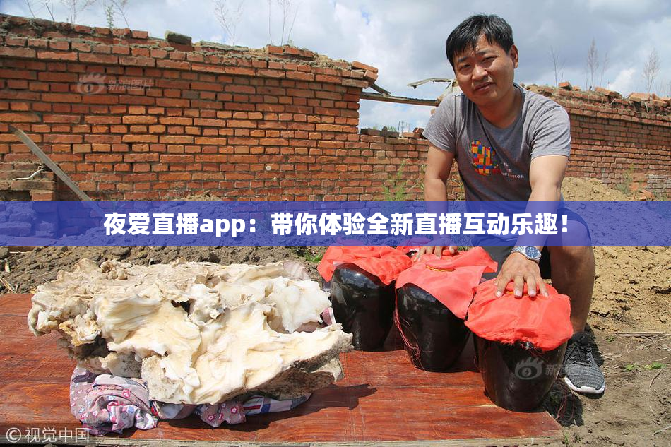 夜爱直播app：带你体验全新直播互动乐趣！