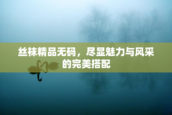 丝袜精品无码，尽显魅力与风采的完美搭配