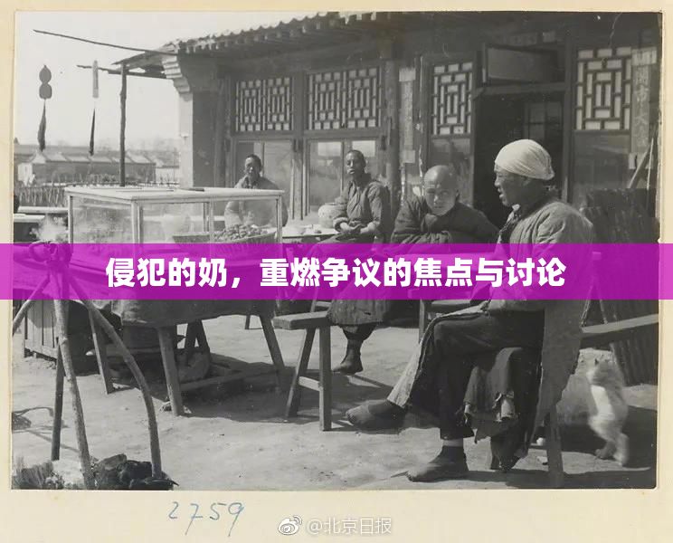 侵犯的奶，重燃争议的焦点与讨论