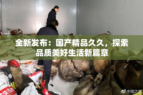 全新发布：国产精品久久，探索品质美好生活新篇章