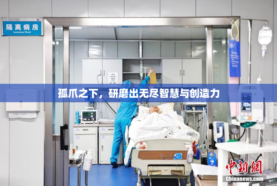 孤爪之下，研磨出无尽智慧与创造力
