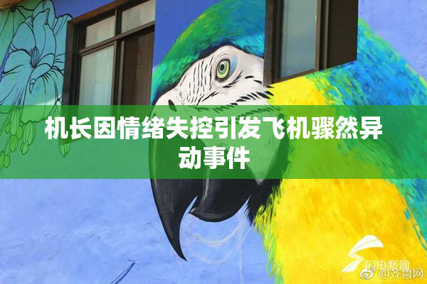 机长因情绪失控引发飞机骤然异动事件
