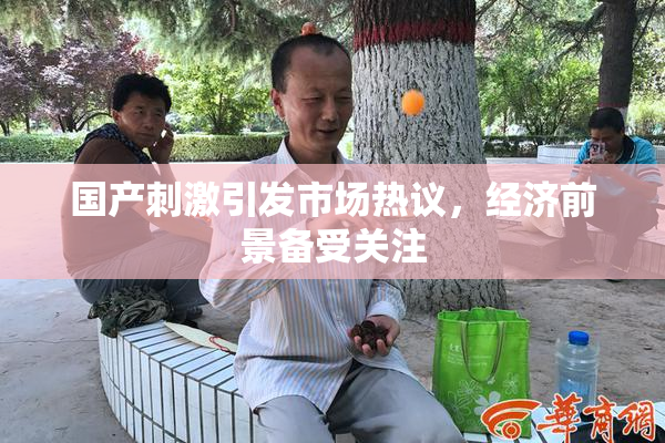 国产刺激引发市场热议，经济前景备受关注