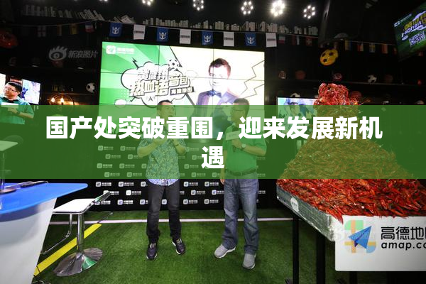 国产处突破重围，迎来发展新机遇