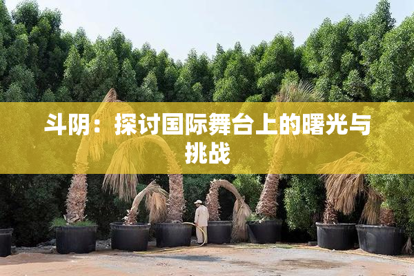 斗阴：探讨国际舞台上的曙光与挑战