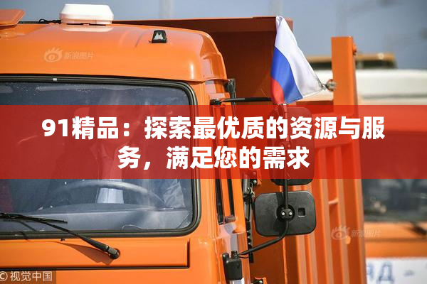 91精品：探索最优质的资源与服务，满足您的需求