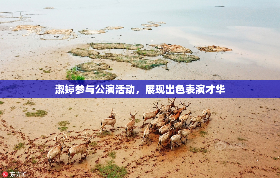 淑婷参与公演活动，展现出色表演才华