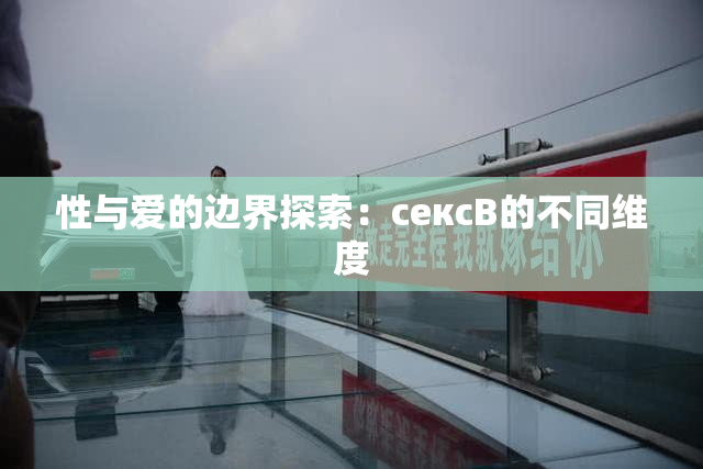 性与爱的边界探索：сексB的不同维度