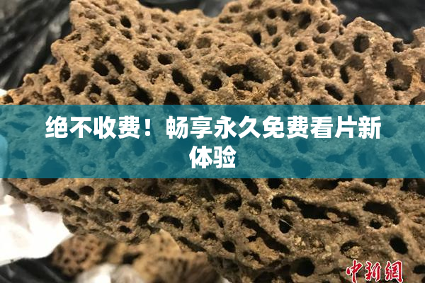 绝不收费！畅享永久免费看片新体验