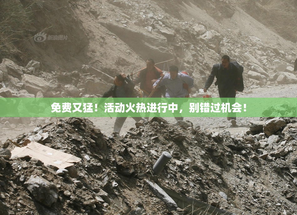 免费又猛！活动火热进行中，别错过机会！