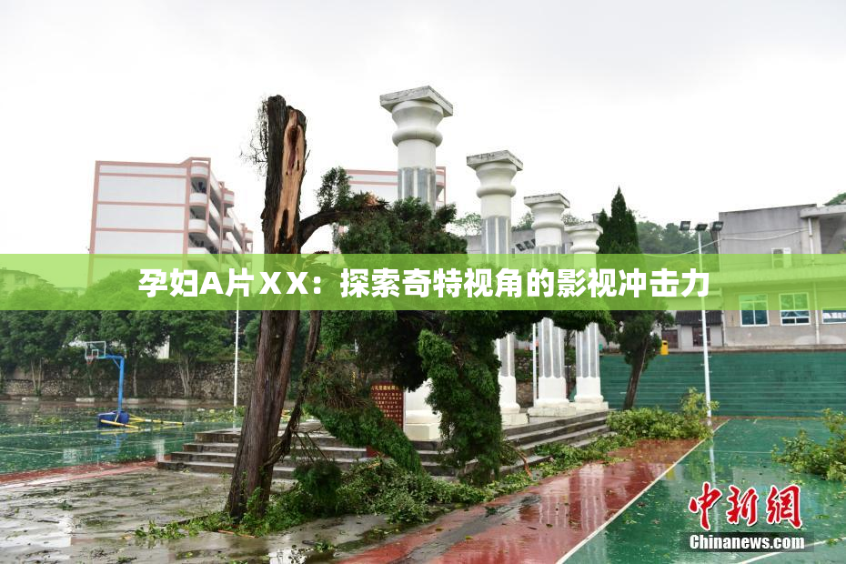 孕妇A片ⅩX：探索奇特视角的影视冲击力