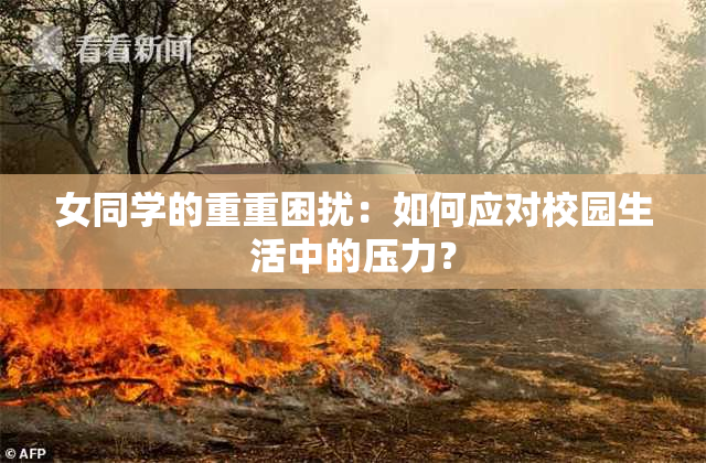 女同学的重重困扰：如何应对校园生活中的压力？