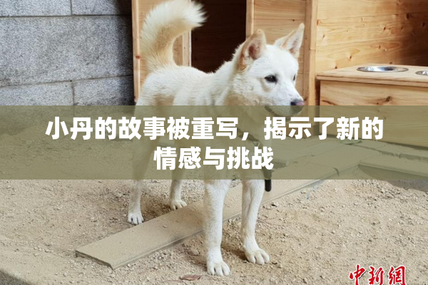 小丹的故事被重写，揭示了新的情感与挑战