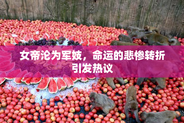 女帝沦为军妓，命运的悲惨转折引发热议