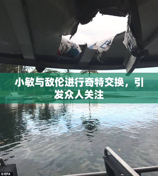 小敏与敌伦进行奇特交换，引发众人关注