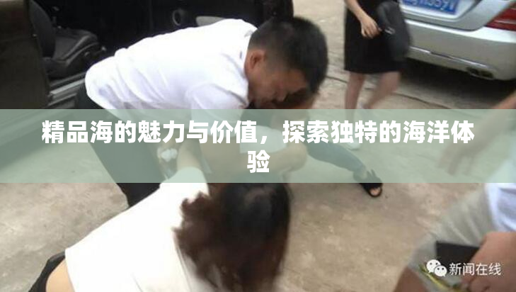 精品海的魅力与价值，探索独特的海洋体验