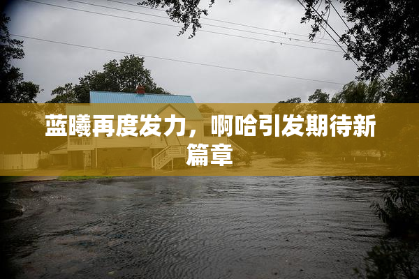 蓝曦再度发力，啊哈引发期待新篇章