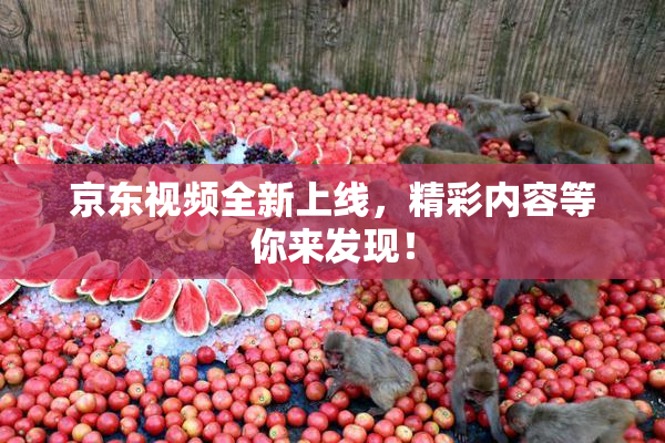京东视频全新上线，精彩内容等你来发现！