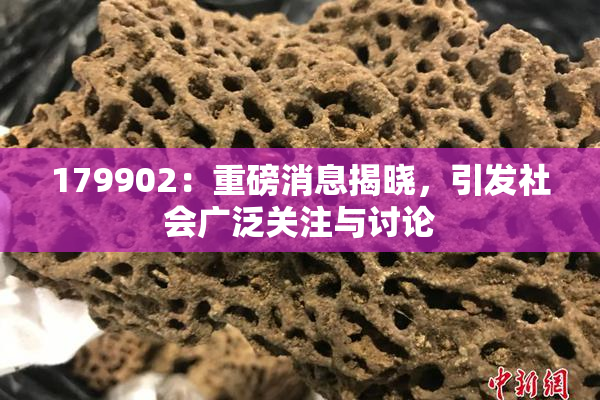 179902：重磅消息揭晓，引发社会广泛关注与讨论