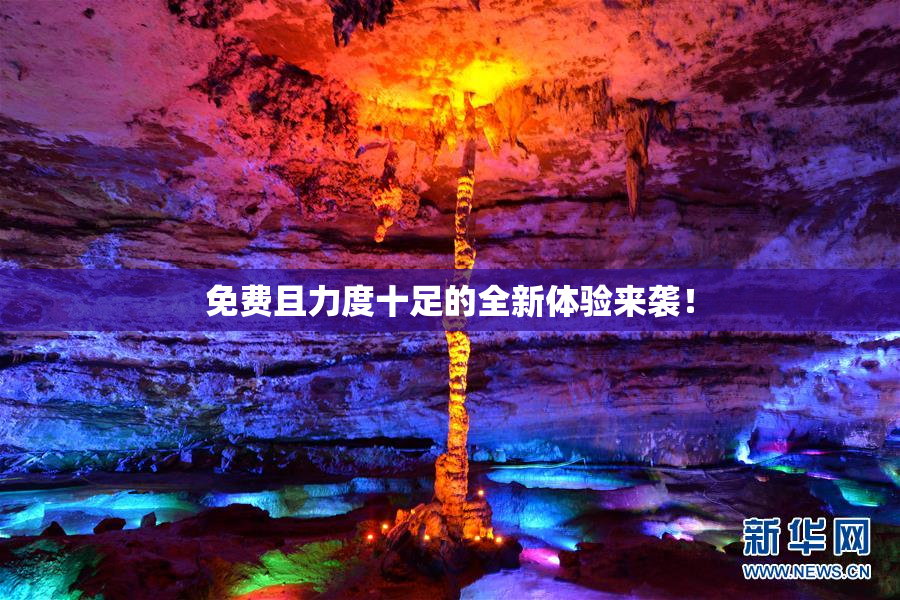 免费且力度十足的全新体验来袭！