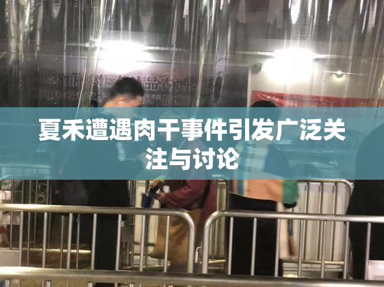 夏禾遭遇肉干事件引发广泛关注与讨论