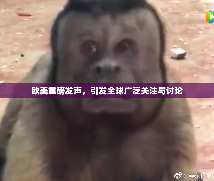 欧美重磅发声，引发全球广泛关注与讨论