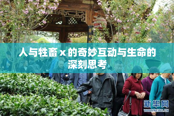 人与牲畜ⅹ的奇妙互动与生命的深刻思考