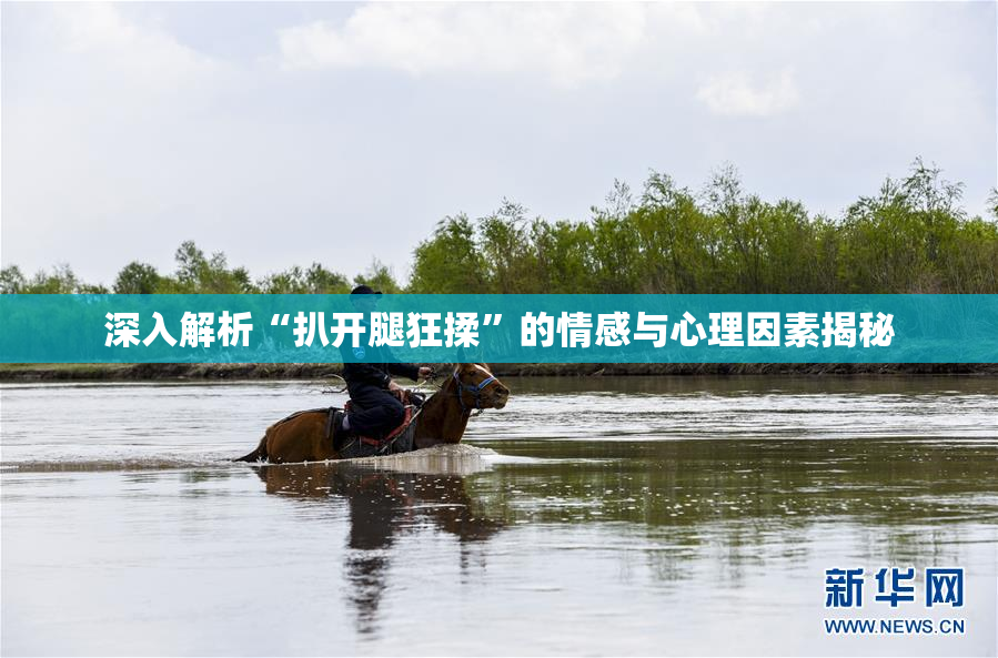 深入解析“扒开腿狂揉”的情感与心理因素揭秘
