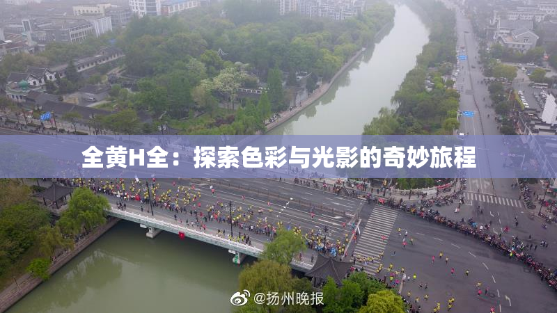 全黄H全：探索色彩与光影的奇妙旅程