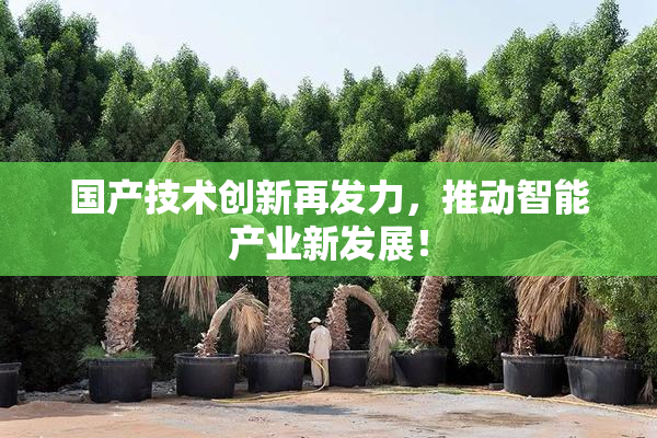 国产技术创新再发力，推动智能产业新发展！