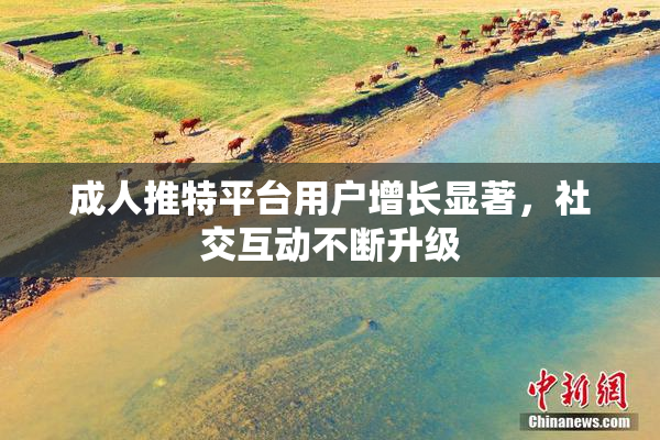 成人推特平台用户增长显著，社交互动不断升级