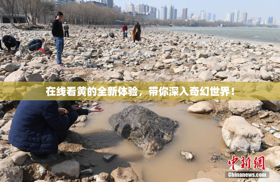 在线看黄的全新体验，带你深入奇幻世界！