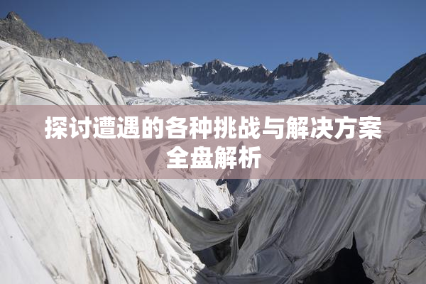 探讨遭遇的各种挑战与解决方案全盘解析
