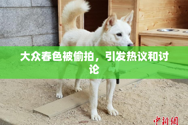 大众春色被偷拍，引发热议和讨论