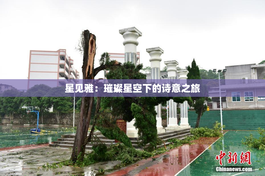 星见雅：璀璨星空下的诗意之旅